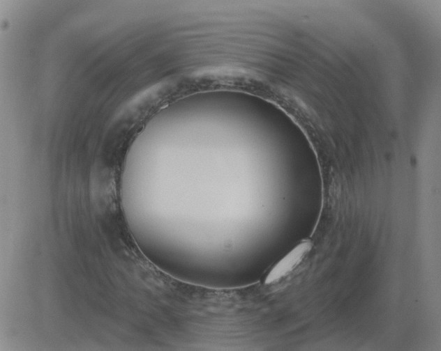 X0000083531062200702161907