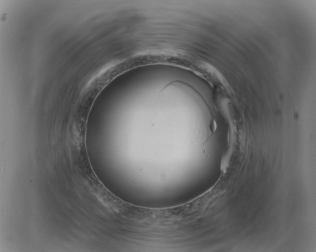 X0000083531064200702161907