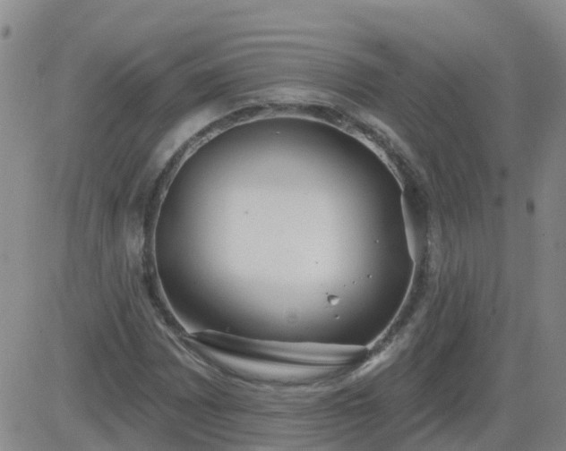 X0000083531065200702161907