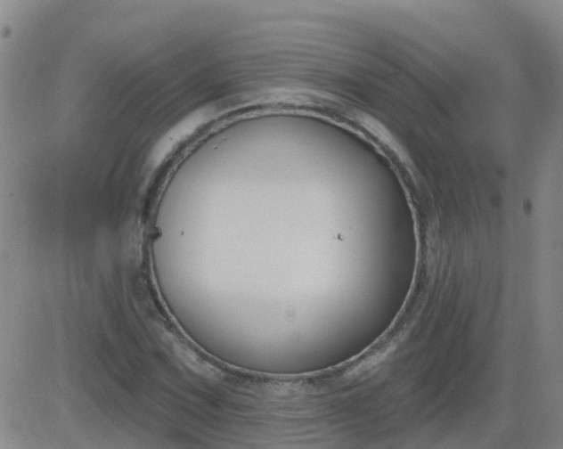 X0000083531067200702161906