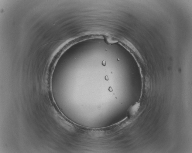 X0000083531068200702161906