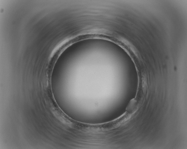 X0000083531069200702161906