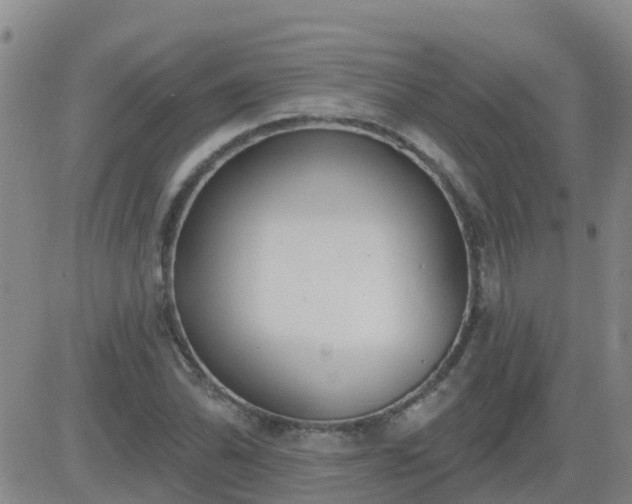 X0000083531070200702161906