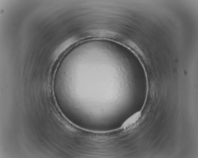 X0000083531071200702161906