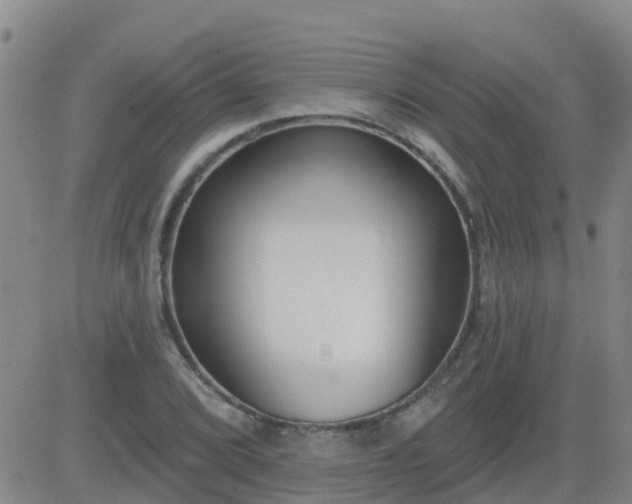 X0000083531072200702161906