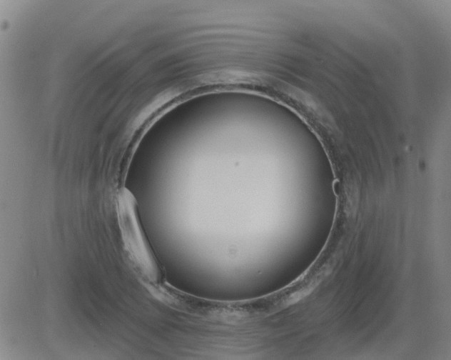 X0000083531073200702161906