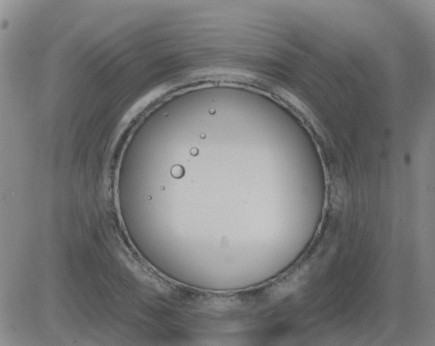 X0000083531074200702161906