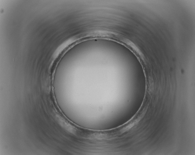 X0000083531075200702161906