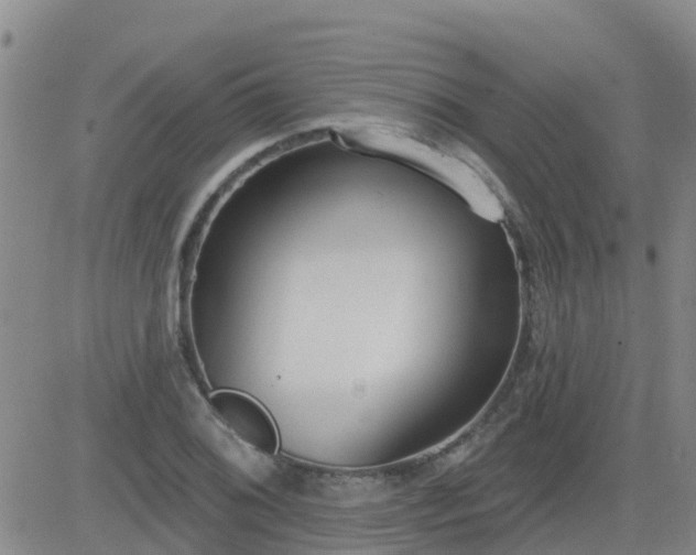 X0000083531076200702161906