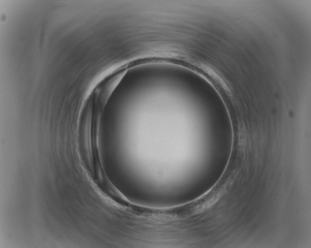 X0000083531077200702161906