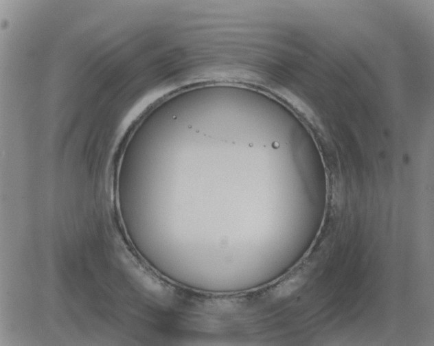 X0000083531078200702161906