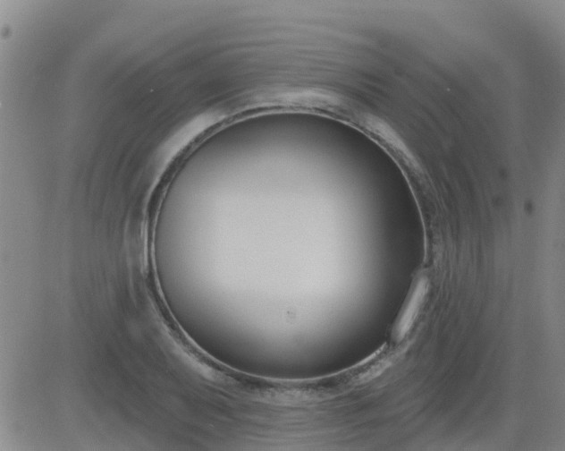 X0000083531079200702161906