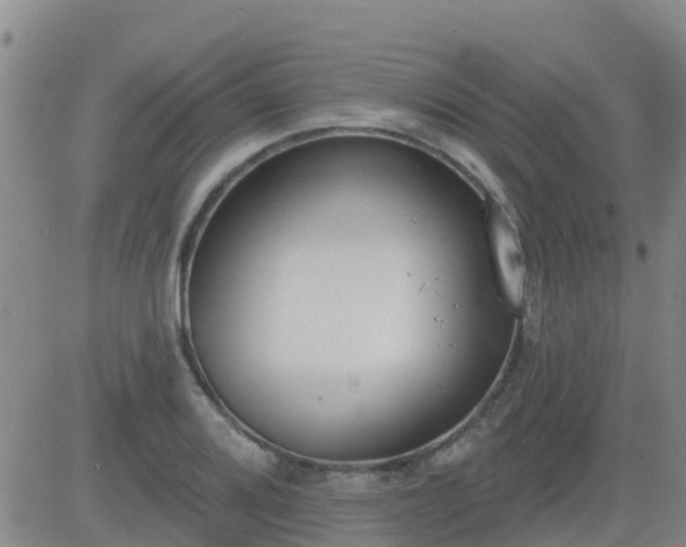 X0000083531080200702161906