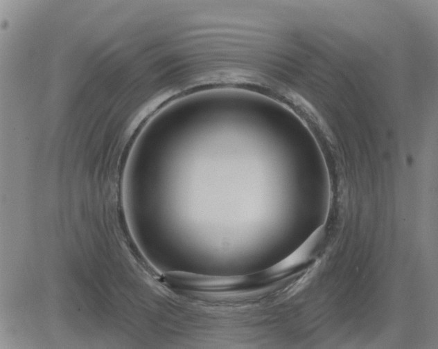 X0000083531081200702161906