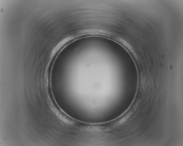 X0000083531082200702161906