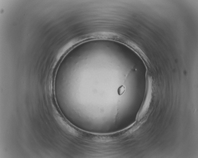 X0000083531083200702161906