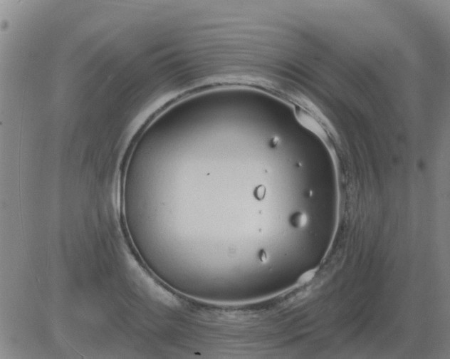 X0000083531084200702161906