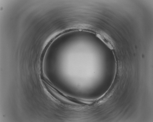 X0000083531085200702161906