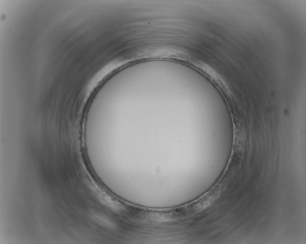 X0000083531086200702161906