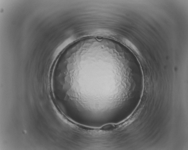 X0000083531087200702161906