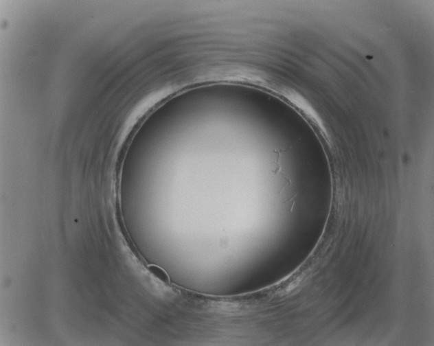 X0000083531088200702161906