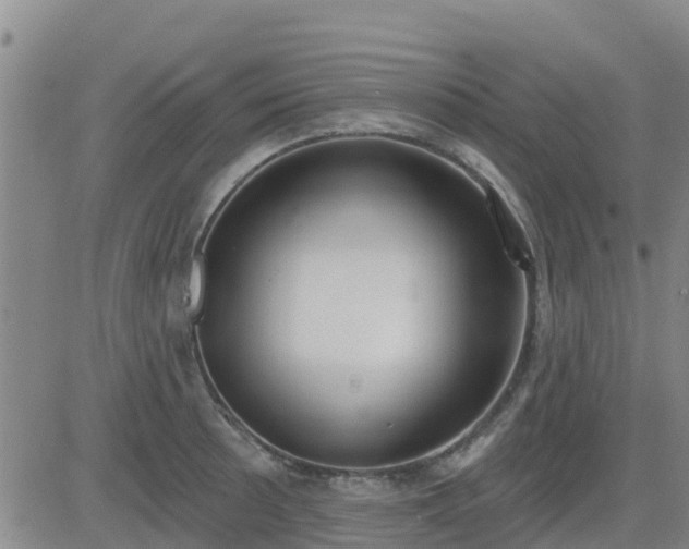 X0000083531089200702161906