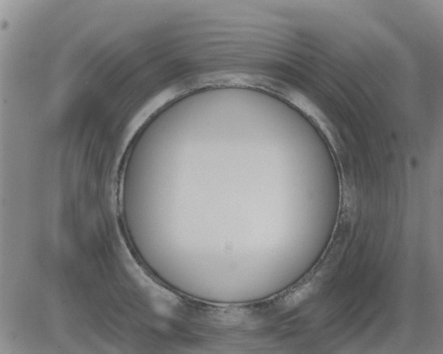 X0000083531090200702161906