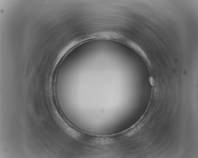 X0000083531091200702161906