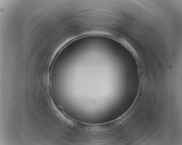 X0000083531092200702161906