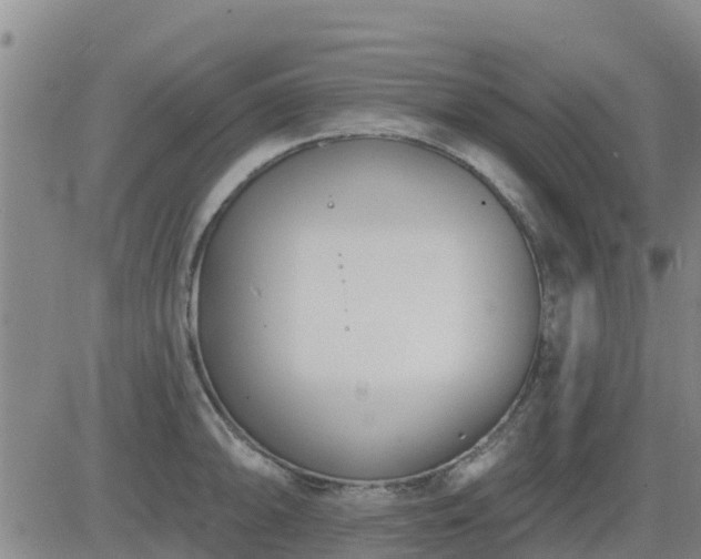 X0000083531094200702161906