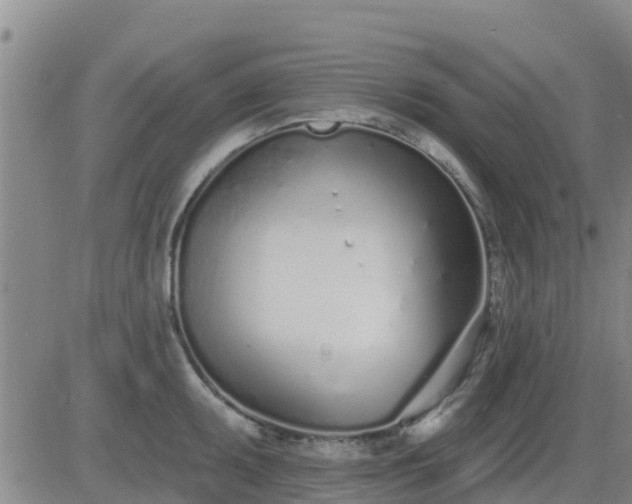 X0000083531095200702161906