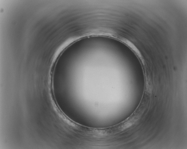 X0000083531096200702161906