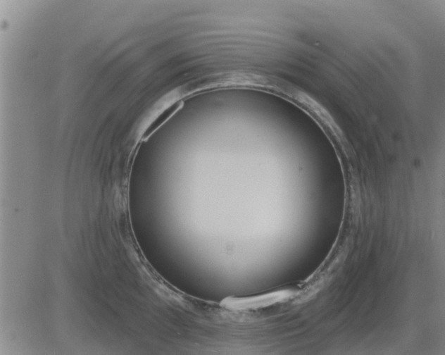 X0000083531097200702161906