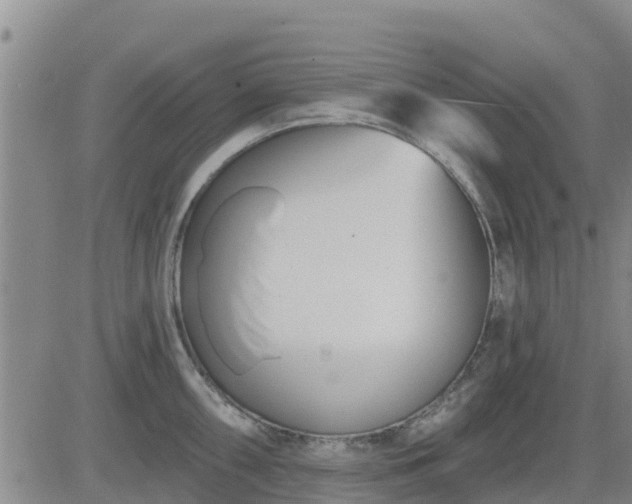 X0000083531098200702161906