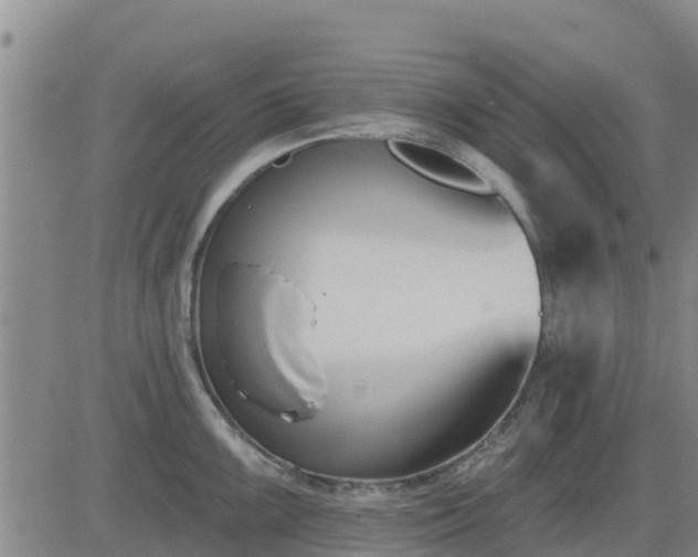 X0000083531099200702161906