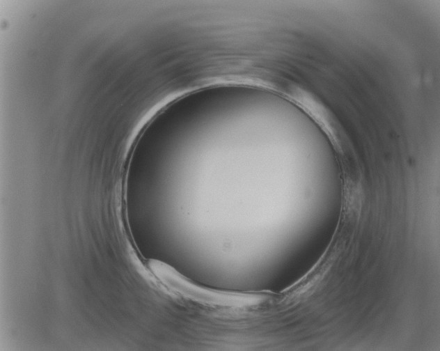 X0000083531100200702161906