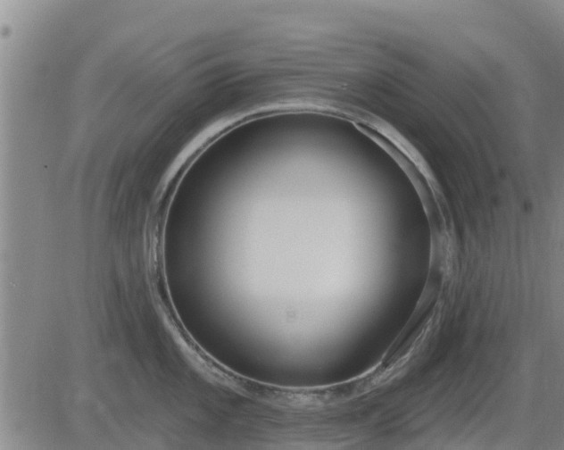 X0000083531101200702161906