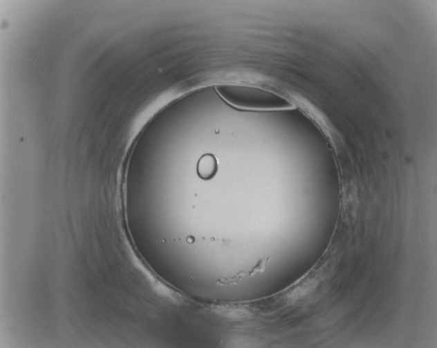 X0000083531103200702161906