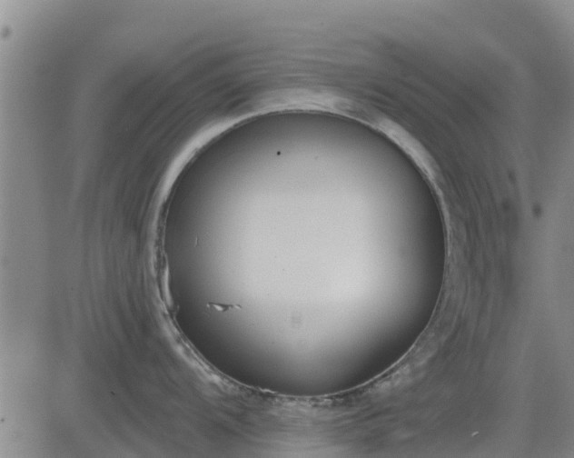 X0000083531104200702161906