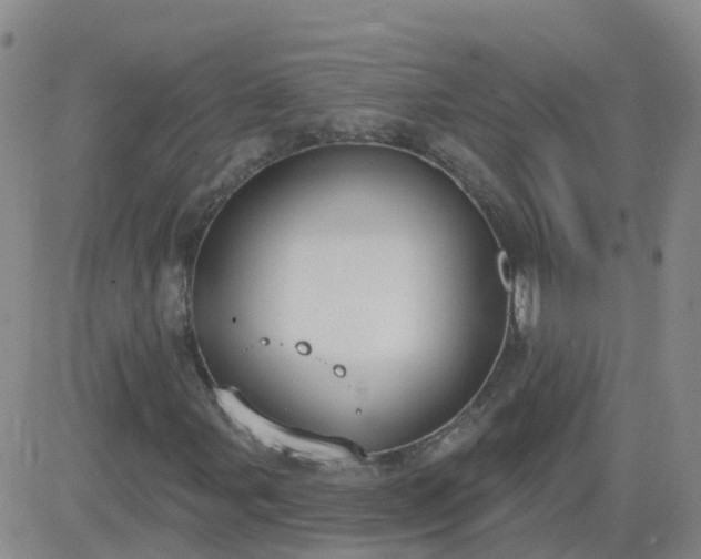 X0000083531107200702161905