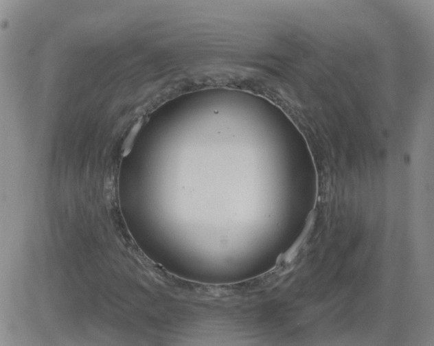 X0000083531109200702161905