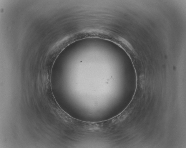 X0000083531111200702161905