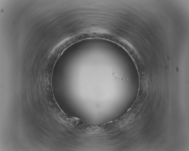 X0000083531112200702161905