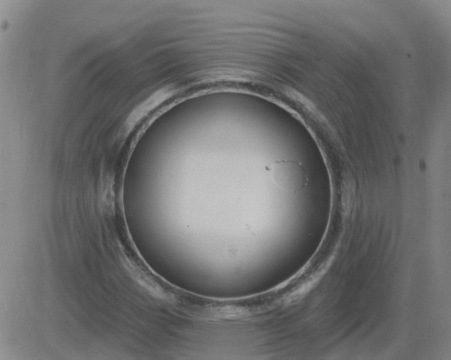 X0000083531113200702161905