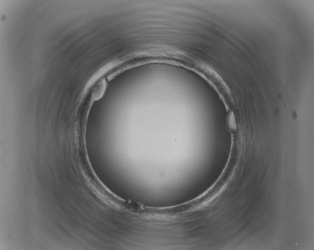 X0000083531114200702161905