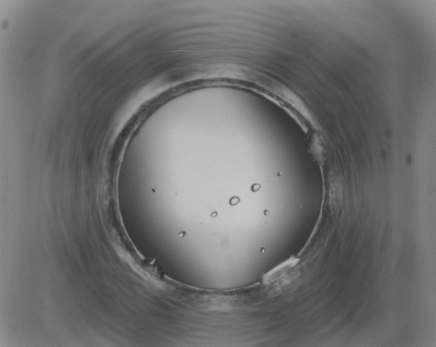 X0000083531116200702161905