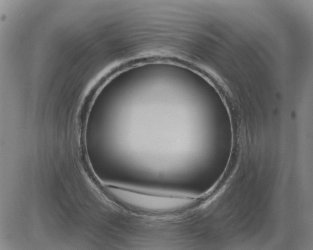 X0000083531118200702161905