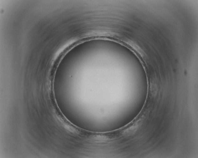 X0000083531119200702161905