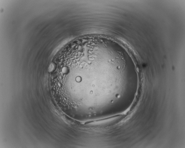 X0000083531121200702161905