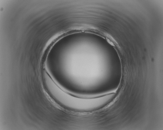 X0000083531122200702161905